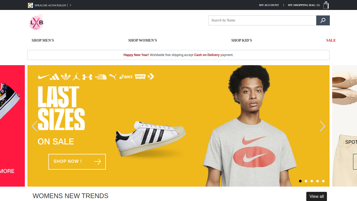 Fake ecommerce store example